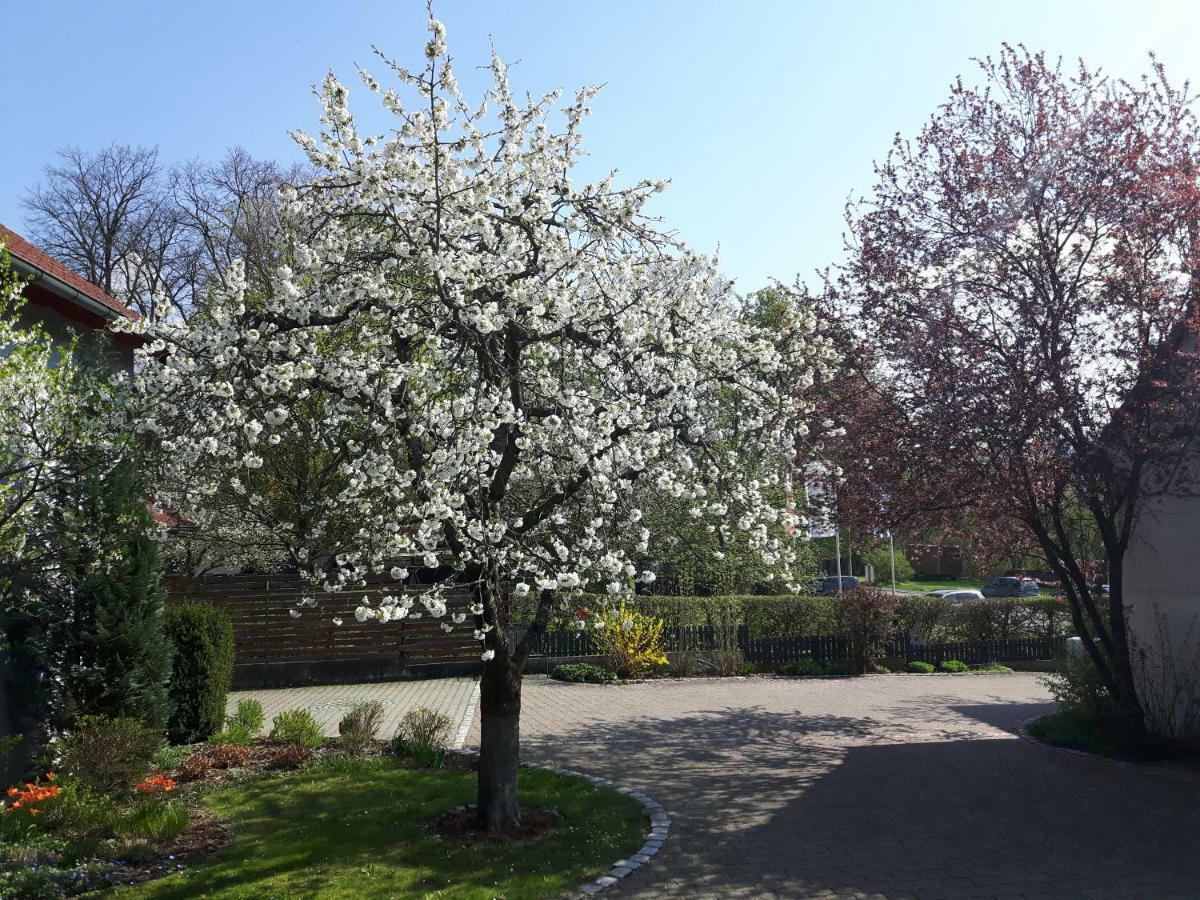 Der Kirschbaumhof Strullendorf Exterior foto